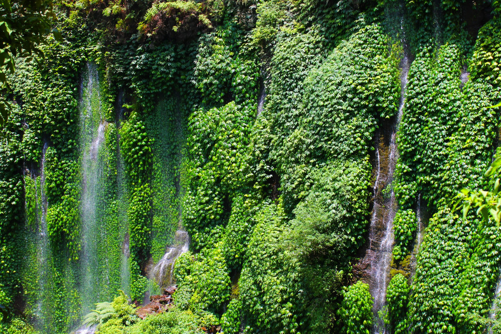 Jaw-Dropping Waterfalls That Will Leave You Speechless